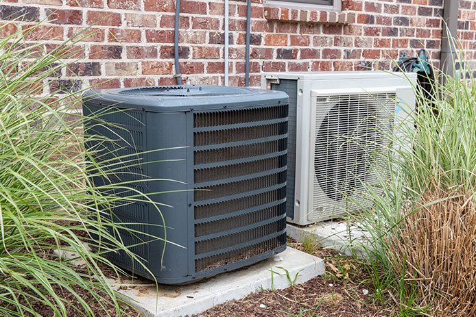 Plants and bushes around HVAC unit