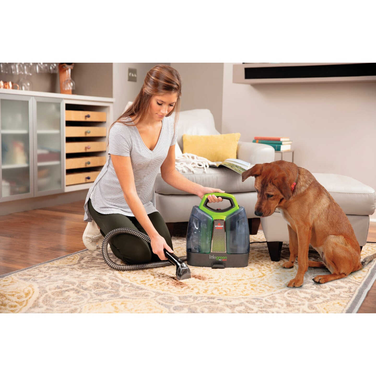 Spillbuster Portable Carpet Cleaner, Cordless Spill And Spot Cleaner