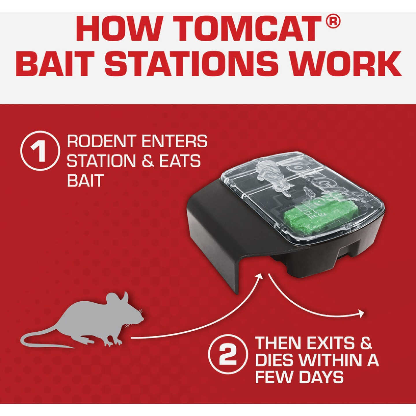 TOMCAT Refillable Bait Station Mouse Killer (8-Refill) - Power Townsend  Company
