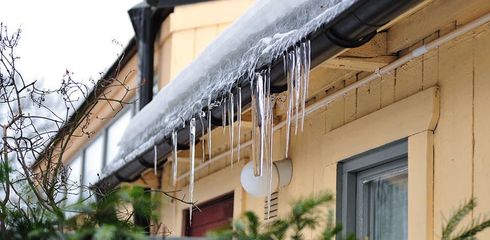 A tan-colored wooden house has several icicles hanging from the brown roof covered in snow. An evergreen tree touches against the side of the house.